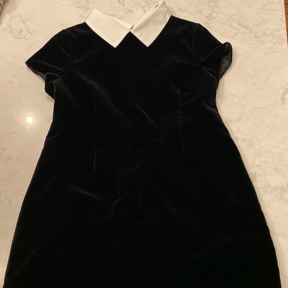 Velour Bonpoint Girls Dress
